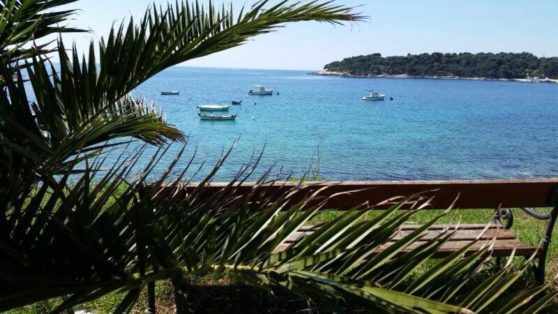 Divina V 150 Meters From The *